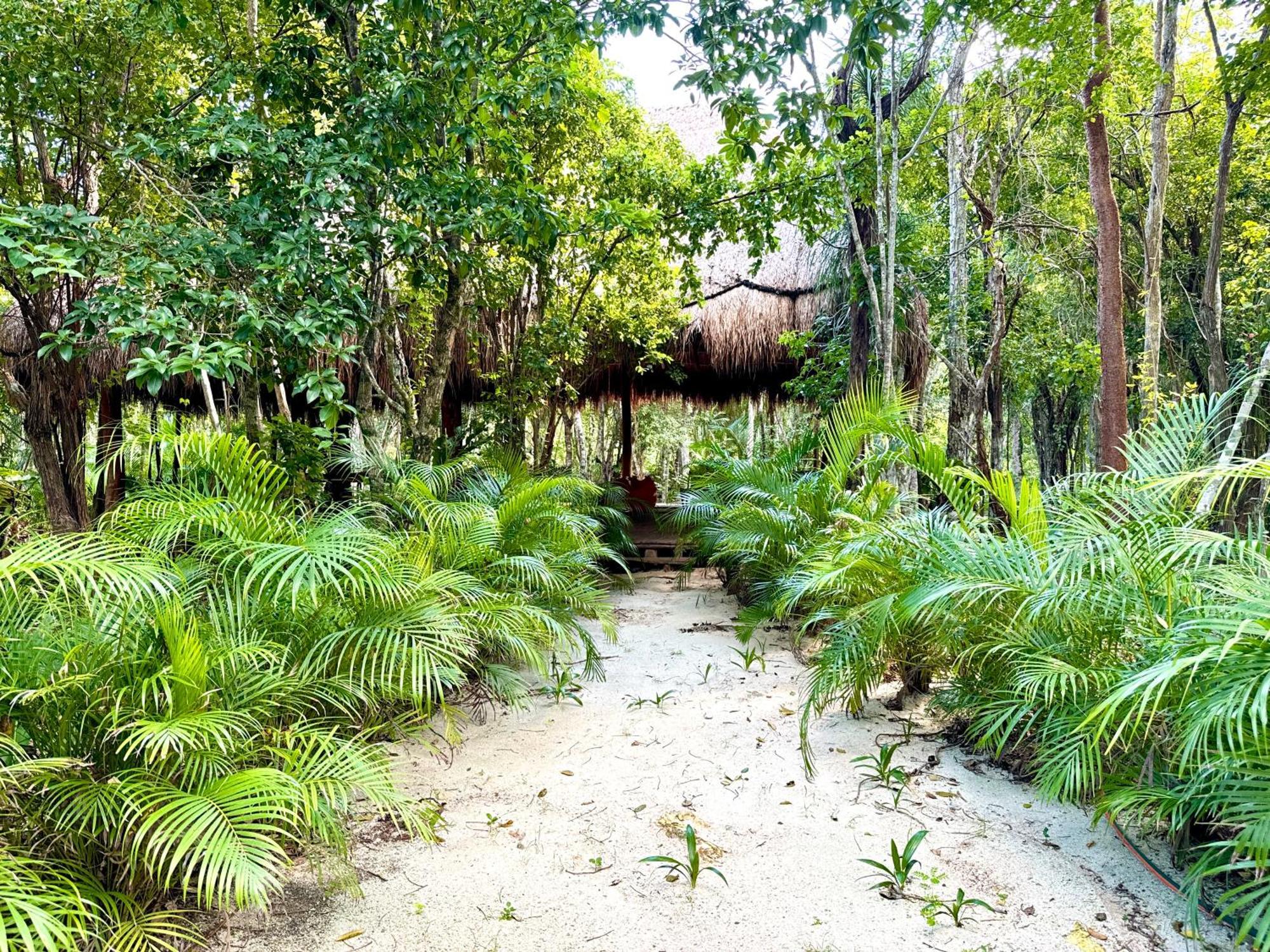 Отель Glamping Bunga Lotus Тулум Экстерьер фото
